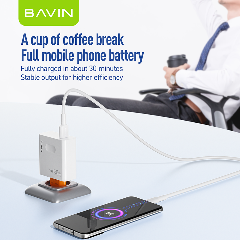 Chargeur BAVIN 120W PC & TABLETTE PC-995Y