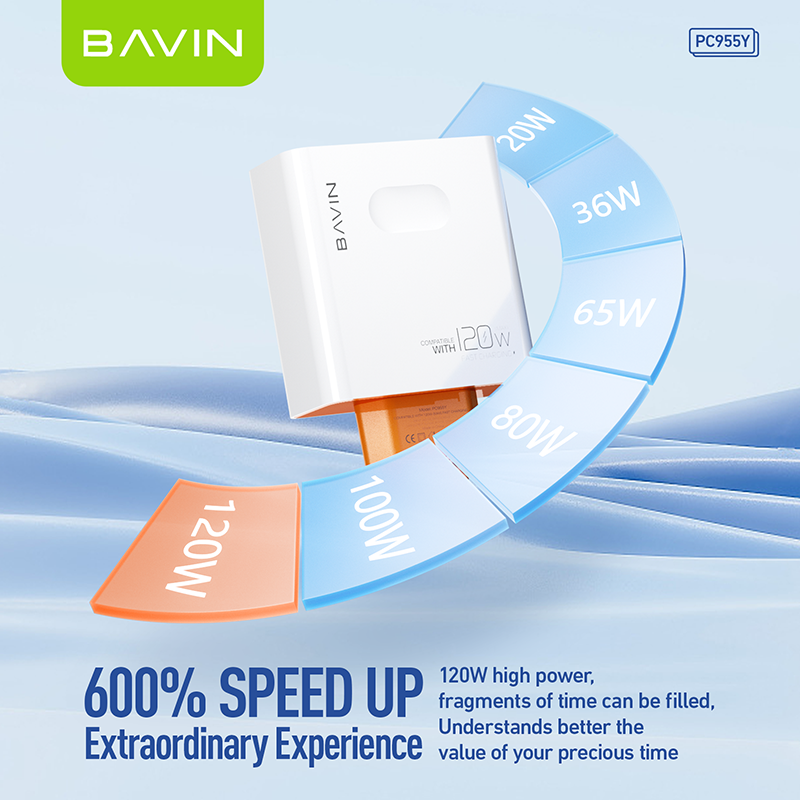 Chargeur BAVIN 120W PC & TABLETTE PC-995Y